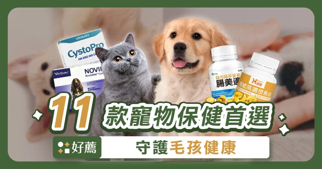 【寵物保健食品推薦】11款專家、網友首選，毛孩健康守護必備！