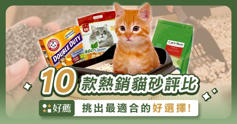 【貓砂推薦指南】十款熱銷貓砂評比，哪款才是貓咪的真命天砂？